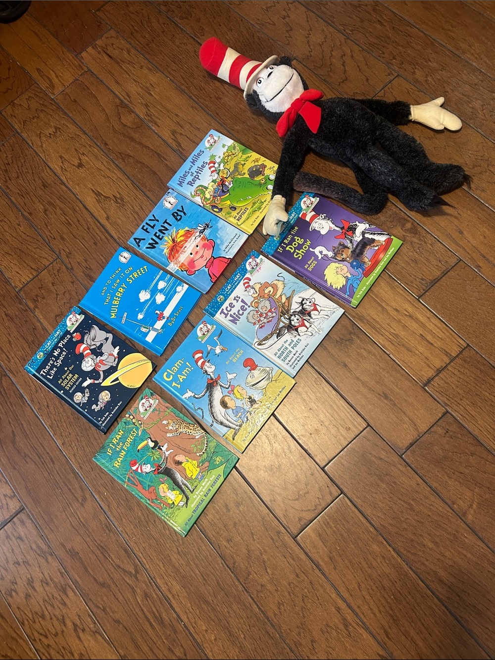 Dr Seuss Hardback READING set💕